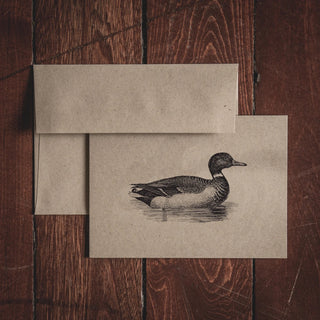 Duck Collection Folded Note Set/8